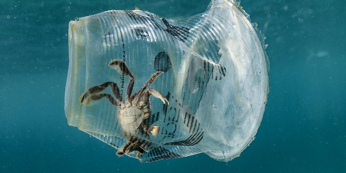 Porto di Alghero e Aquatica Marina sposano la Green Economy